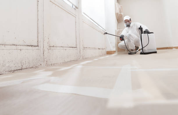 24/7 Emergency Basement Mold Remediation experts in Dania, FL