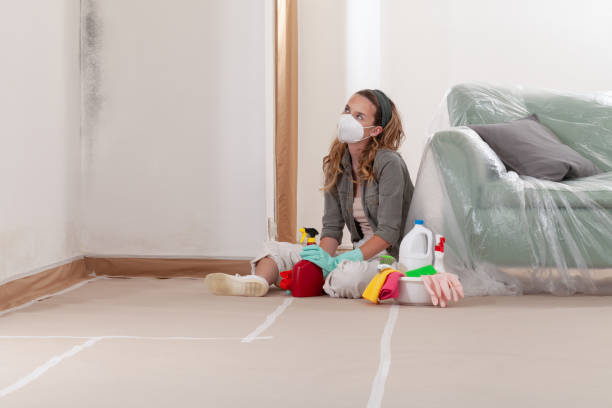 Reliable Basement Mold Remediation contractor in Dania, FL by WQB Mold Removal
